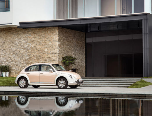 401-500KMの万里の長城モーターEV ORAバレエ猫車5のドア5つの座席