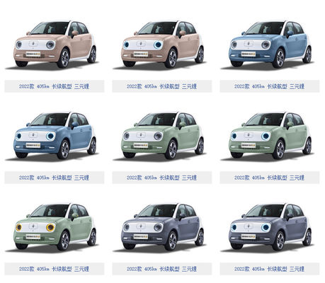 301KM-405KMギガワットORAの黒猫の電気自動車5のドア4の座席電池LFP