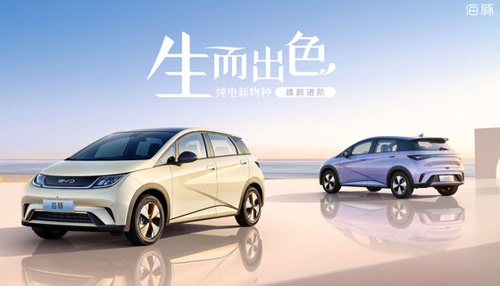 Bydの純粋な電気小型イルカEv 301-405KM 5つのドア5つの座席